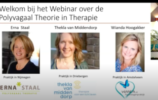 webinar polyvagaal theorie in therapie